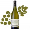 Chablis Grand Cru Bougros