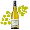 Bourgogne Blanc