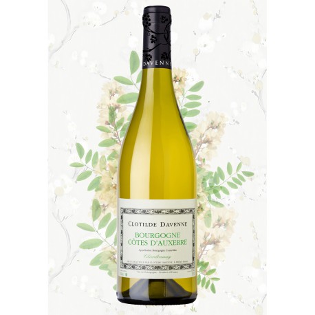 Bourgogne Blanc Côtes d'Auxerre Vieilles Vignes 2015