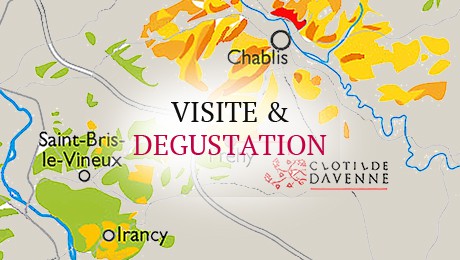 Visite & dégustation