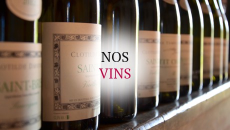 Nos vins